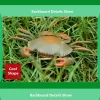 H1a1e32be0d5646f28877b7ba77a0a860d.webp Smart Intelligent RC Robot crab With eye flash light simulation sound crab Model high simulation crab design classic crab - AliExpress 26