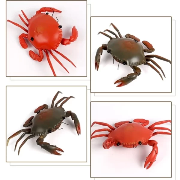 H2499e0771ef2445f819e64c12bb0eff0A.webp Smart Intelligent RC Robot crab With eye flash light simulation sound crab Model high simulation crab design classic crab - AliExpress 26