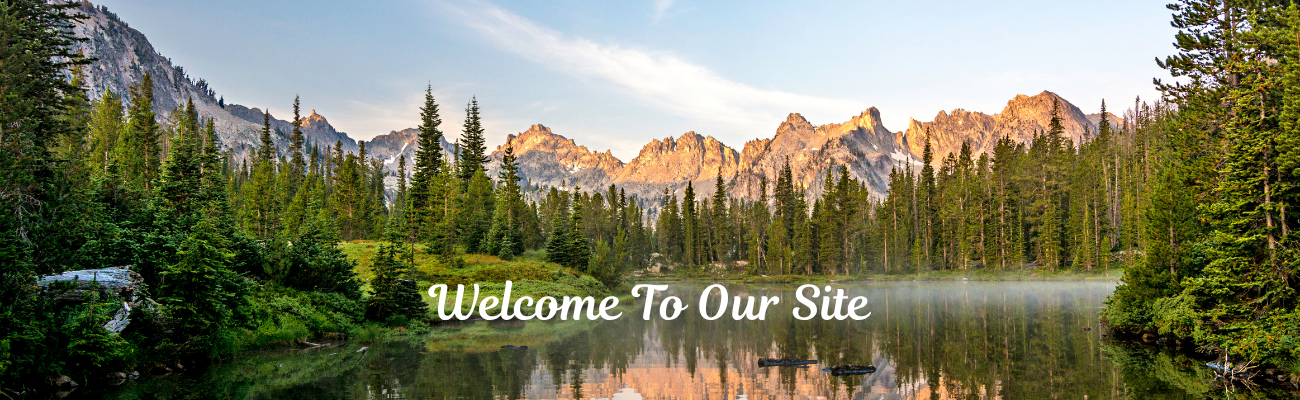 Welcome To Our Site